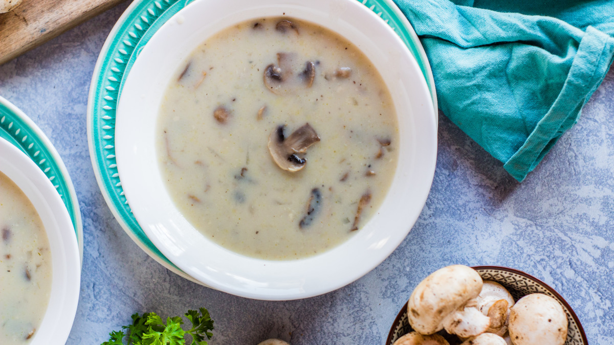 Homemade cream sales of mushroom soup